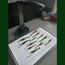 點擊查看 SC-B型魚蝦苗自動測量分析儀 詳細(xì)